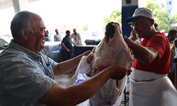 Büyükşehir'den ücretsiz kurban kesim hizmeti