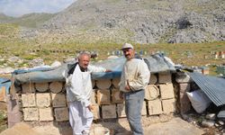 Arıcılar kovanlarını yüksek kesimlerdeki yaylalara çıkardı