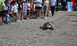 Tedavi sonrası Akdeniz'le buluştu