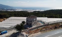 Müze müdürü araziyi kendine almış