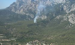 Kemer'de orman yangını