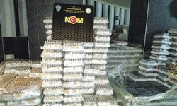 Antalya'da kaçakçılık operasyonu