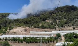 Kumluca'da orman yangını