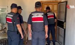 Yasa dışı bahis ve dolandırıcılık operasyonlarında 98 şüpheli yakalandı