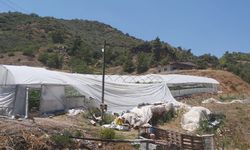 Kumluca'da hortum seralara zarar verdi