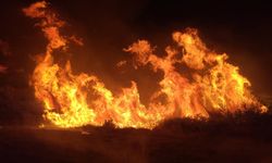 Manavgat’ta Yangın: 8 Dönümlük Tarım Arazisi Zarar Gördü