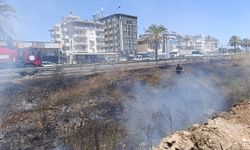 Manavgat'ta Sazlık Yangını: Söndürülmeden Atılan Sigara Sebebiyle Çıktı