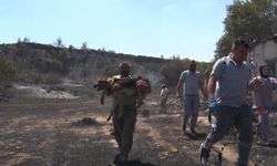 Aksu'da Yürek Yakan Yangın: Evler Hasar Gördü, Hayvanlar Telef Oldu