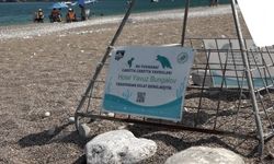 Çıralı'da İşletmeler Caretta Carettaları Sahiplendi