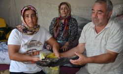 Aile Tüm Birikimini Kaybetti, Merkez Bankası'na Başvurdu