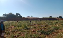 Tarlasındaki 120 Ton Karpuzu Ücretsiz Dağıttı