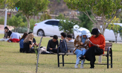 Antalya'da Keneden Bulaşan 3 Hastalık İçin Uzman Uyardı!
