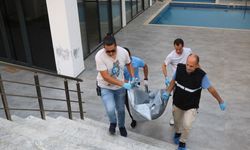 Alanya'daki Olayın Şüphelisi Gümüşhane'de Yakalandı