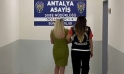 Sahtecilik Yapan Orman Mühendisi Tutuklandı