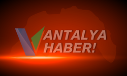 Yol Kenarındaki Ağaca Çarpan Sürücü Hayatını Kaybetti