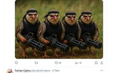 Veteriner Hekimden Keklik Uyarısı: Keneyi Yemez, Taşır!