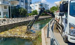 Manavgat'ta Dere Yatakları Temizleniyor
