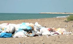 Plastiği Azaltmak Yerine Ticari Fırsata Dönüştü