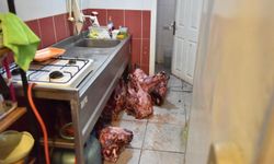 Hamam Böcekli Yumurta Şikayetinde Bozuk Et Skandalı