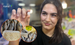 Antalya'da Şifalı Karakulak Balığı İddiası