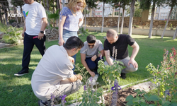 Antalya'da Parka Gökyüzünden Buz Kütlesi Düştü