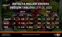 Antalya Hallerinde Eylülde Fiyat ve Miktar Arttı