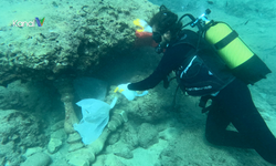 Kaleiçi Yat Limanı’nda Deniz Dibi Temizliği