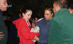 Yangında 2 Kedi Öldü, Ev Sahipleri Sinir Krizi Geçirdi