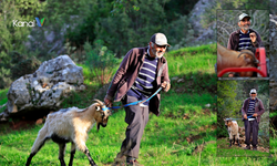 Döşemealtı’nda Uçurumda Mahsur Keçi Kurtarıldı
