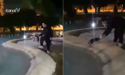 Muratpaşa’da Parkta Kediye Eziyet: İnceleme Başlatıldı