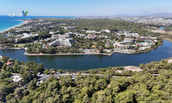 Sorgun Çamlığı Koruma Altına Alınıyor