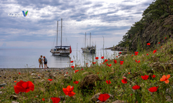 Time Out: Dünyanın En Güzel Yürüyüşü Likya Yolu