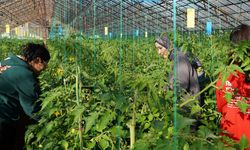 Antalya - Üniversiteden Sofraya