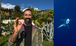 Camgöz Köpek Balığını Dalgıçlar Kurtardı