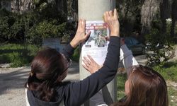 Kaybolan Köpeklerini Sokak Sokak Arıyor: Canlı Bulana 100 Bin, Ölü Bulana 10 Bin Ödül