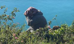 Bakımevindeki Otizmli Oğlu Başka Şehre Nakledilmesin Diye Falezlere Çıktı