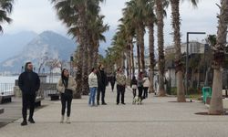 Konyaaltı Sahili'nde Leylek Sürprizi