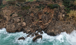 Koruma Altındaki Falezlerde 'Kaçak Baraka' İşgali
