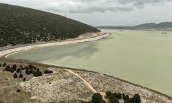 Hayvanların Otladığı Avlan Gölü'nde Su Sevinci