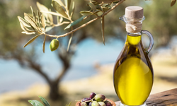 Antalya Zeytinyağı Çalıştayına Ev Sahipliği Yapacak