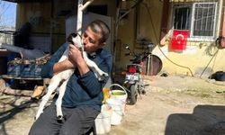 Keçilerine Olan Sevgisini Teknolojiyle Birleştirdi, Anbean Onları İzliyor