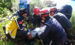 İncir Ağacı Hayatını Kurtardı: Falezlerde 20 Metre Yükseklikten Düştü