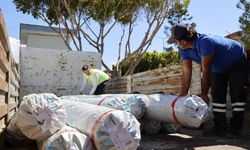 Zarar Gören Çiftçilere Sera Naylonu Desteği