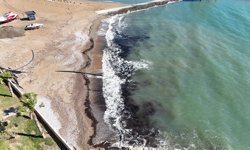 Alanya’da Sahildeki Siyah Tabaka Tedirgin Etti