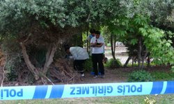 Antalya'da Bir Kişi Ağaçlık Alanda Ölü Bulundu