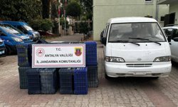 Sahte Plakayla 150 Adet Sebze Kasası Çaldılar