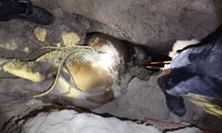 Mağaraya Düşen İnek, Çıkarılamayınca Telef Oldu