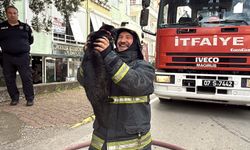 Kediyi Kalp Masajıyla Kurtaran İtfaiyecinin Mutluluğu