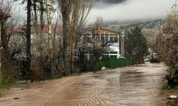 Antalya'da Dereler Taştı, Tarım Alanlarını Su Altında Kaldı