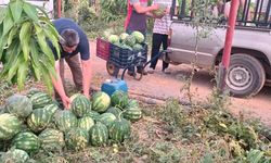 Hayırsever Çiftçinin Tarlası Öğrenciler İçin Hasat Edildi